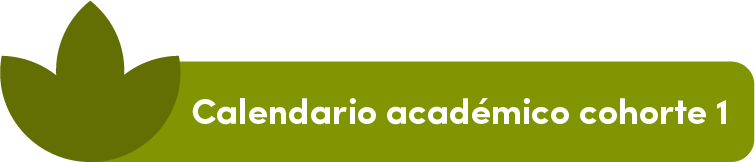 Calendario Academico