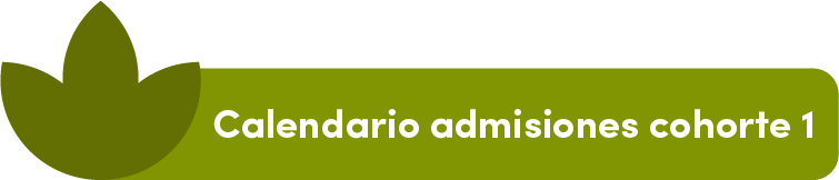 Calendario Admisiones