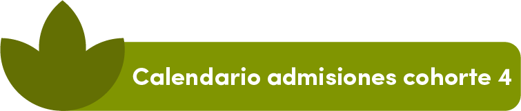 Calendario Admisiones