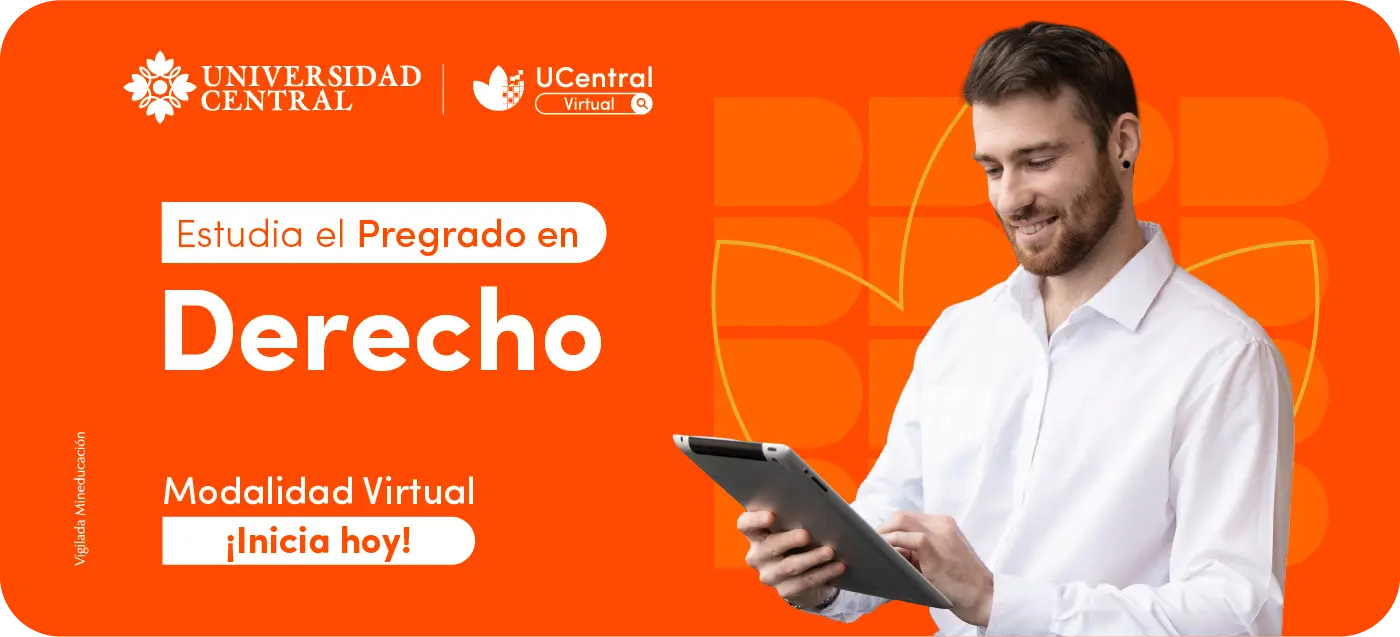Derecho virtual